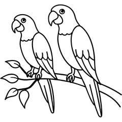 Two Cute Parrot  Sitting a tree branch