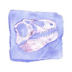 Fossil of Tyrannosaurus rex skull dinosaur in rock . Watercolor paint design . Vector .