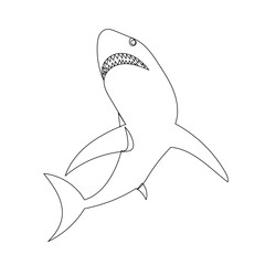 shark bottom view sketches on white background vector - 780373999