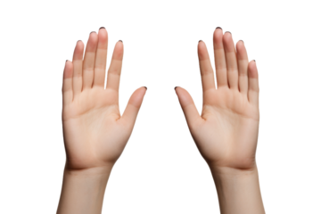 Hands Reaching Up Into the Air. On a White or Clear Surface PNG Transparent Background.