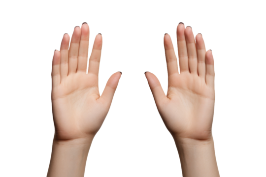 Hands Reaching Up Into the Air. On a White or Clear Surface PNG Transparent Background.