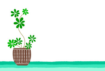 カポックのポストカード