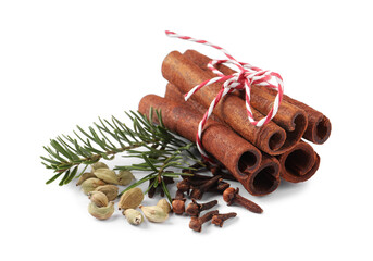 Different spices and fir branches on white background