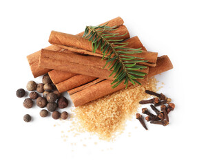 Different spices and fir branch on white background, top view