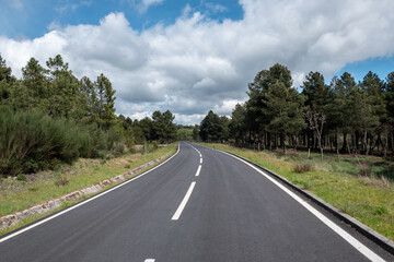 Fototapeta na wymiar Estrada de asfalto com os respetivos traços de sinalização rodeada por pinheiral e um bonito céu nublado
