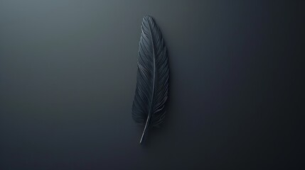 A Close-up Of A Black Feather On A Dim Background.