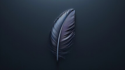 A Close-up Of A Black Feather On A Dim Background.