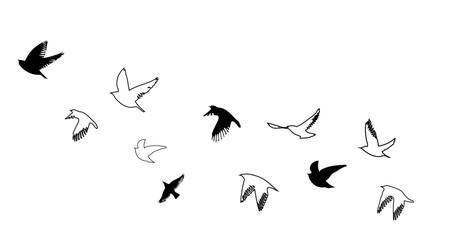 Flying birds silhouette flock. hand drawing. Not AI, Vector illustration.