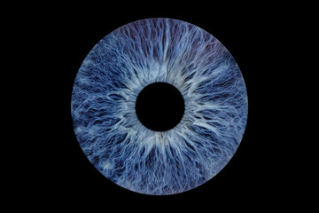 Close up of eye iris on black background, macro, photography