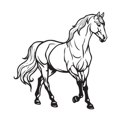 Obraz na płótnie Canvas Horse isolated on white background animal Vector Image