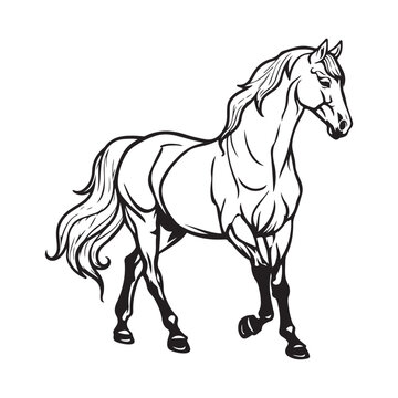 Horse isolated on white background animal Vector Image