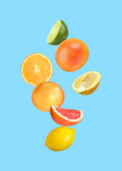 Many different fresh citrus fruits in air on light blue background