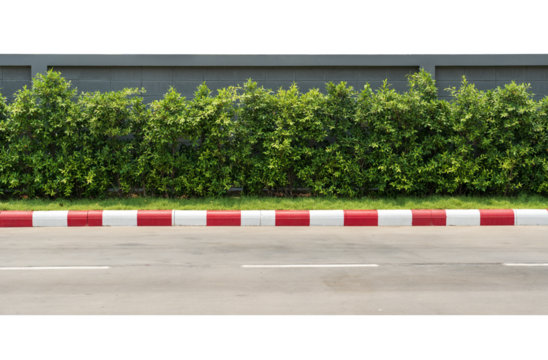 fence with wood green leaves with No parking color sign red and white on curb.