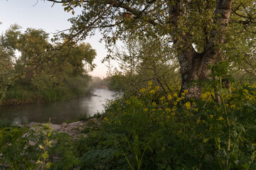 Obraz premium landscape, view, nature, sunrise, morning, light, spring, greene