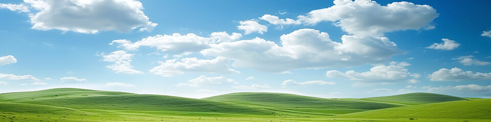 banner hilly landscape with green grass and blue sky  - obrazy, fototapety, plakaty