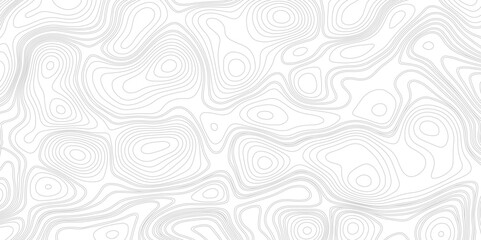 Abstract Contour Topographic Line Pattern in gray and White stock vector illustration stock vector illustration
