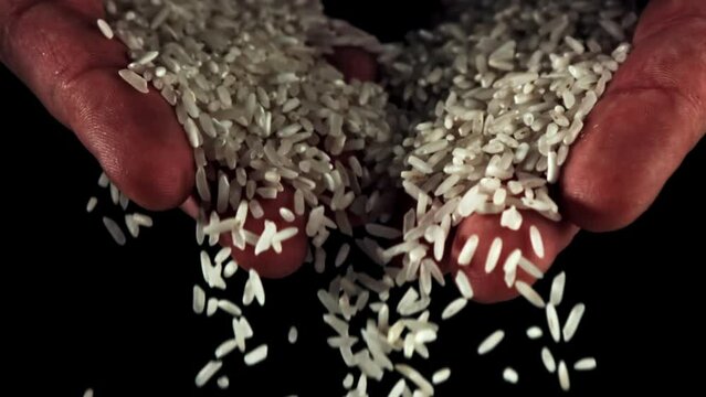 Super slow motion from men's palms pours raw rice . High quality FullHD footage