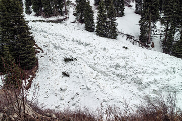 Aftermath of an avalanche in a mountain gorge. Snow debris and broken trees demonstrate the power of the elements. Kimasarov Gorge near the city of Almaty, Kazakhstan