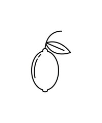 lemon icon, vector best line icon.