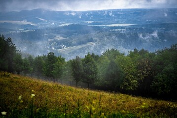 Scenic view of a landscape with lush nature and mountains in the background
