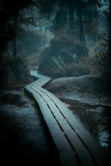 Vertical shot of an old wooden road in a forest on a gloomy, rainy day