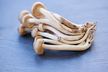 Beech mushrooms, board and preparing in closeup with fibre for protein in healthy diet with vegetables for cooking. Vitamin b, nutrition and vegetable with groceries, eating and organic for health