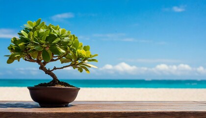 Peaceful image of a bonsai tree on a beach table, its hachi pot framing the windswept branches against the crashing waves - obrazy, fototapety, plakaty