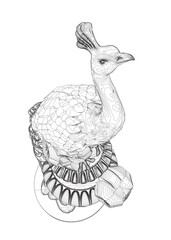 Decorative peacock. Adult anti-stress coloring page. Black and white hand drawn doodle for coloring book. Vector Black and White Floral Peacock Illustration