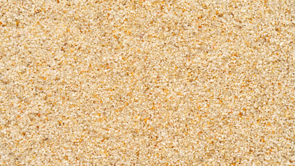 Sand texture, quartz sand background top view - 780407152