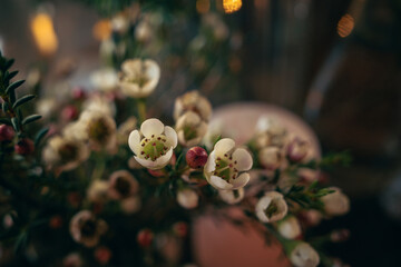 Close up Artificial plastic wax flowers bouquet decorate in vintage cafe 
