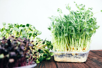 Home gardening. Greens microgreens, peas, radishes in plastic containers on a linen rug on a wooden background. Front view