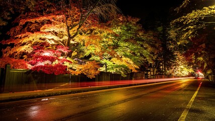 Long exposure shot of red lights illuminating the road surrounded by trees