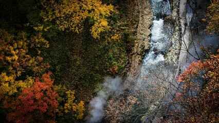 Aerial top view shot of people on a path in the park surrounded by waterfall and trees