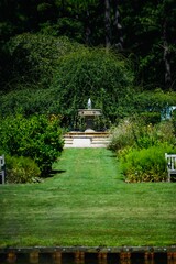 Obraz premium Botanical garden with fountain surrounded by dense trees