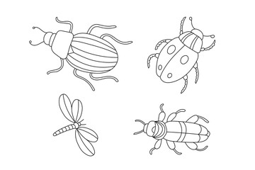 Insects line art coloring page. Preschool coloring activity. Summer / Spring bugs and beetles vector illustration - 780415918