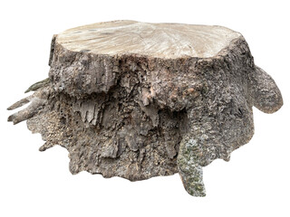 wooden stump isolated on white background ,wood product stand cut out