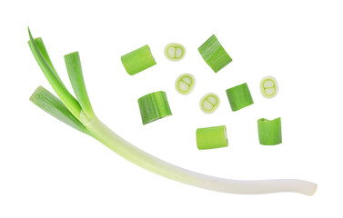 Green japanese onion isolated on transparent background. PNG