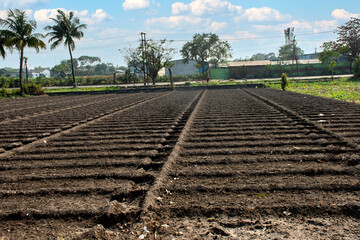 Plowed farmland with brown soil and a blue sunny sky at Kolkata.