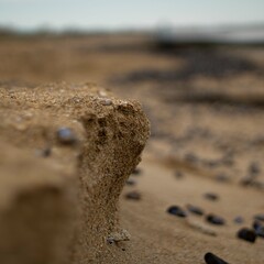 footprints in the sand