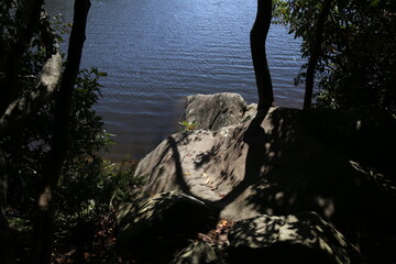 Fototapeta premium Closeup shot of a beautiful lake flowing in the forest