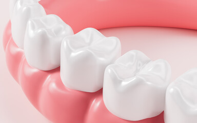 Human tooth model, white teeth, even teeth model, 3d rendering.