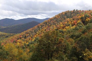 Obraz premium Aerial view of a beautiful forest near the mountains