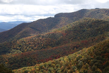 Aerial view of a beautiful forest near the mountains