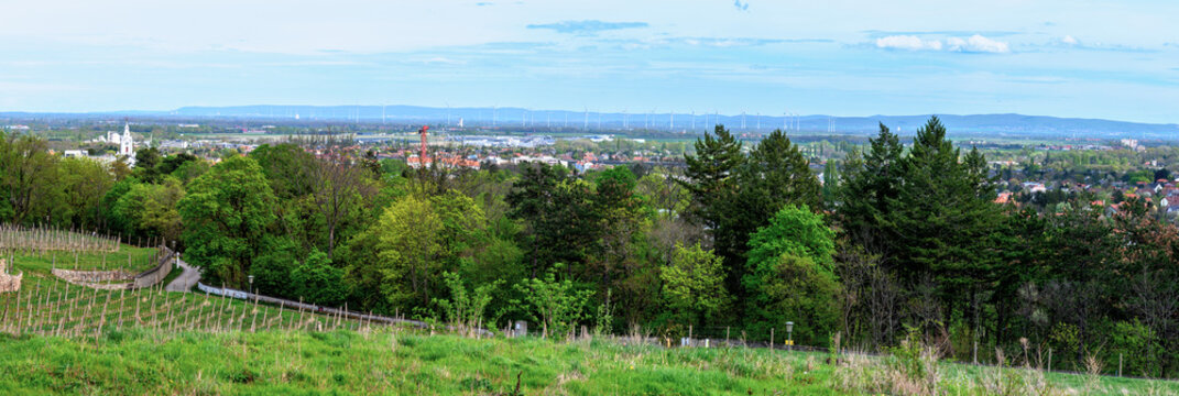panoramic view from a vine yard above the community Gainfarn eastwards across the southern Viennese basin and the village of Bath Voeslau until the mountain range "Leithagebirge" in the back, Austria