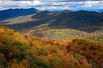 Aerial view of a beautiful forest near the mountains