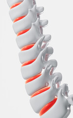 Human spine model, specification for human vertebrae model, 3d rendering. - obrazy, fototapety, plakaty