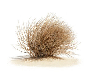 A tumbleweed rolling across the desert landscape, isolated on a transparent background