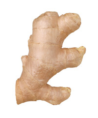 Close-up, Fresh ginger rhizome isolated, transparent PNG, PNG format, cut out
