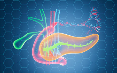 Human pancreas, gall bladder organ model, 3d rendering.