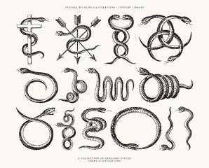 Set of Vintage Tattoo SnakeIllustrations - Ideal for Logos Design, Icons, and more